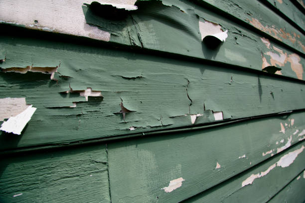 Best Siding Painting and Refinishing  in Elida, OH